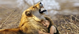 Introductie informatieverplichting boete in strijd met strafrechtelijke waarborgen 