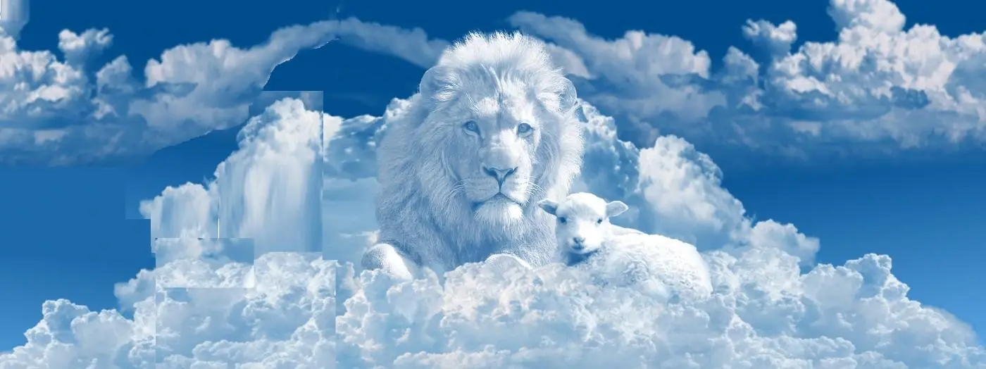 Boetebeleid bij inkeer blijft ongewijzigd 