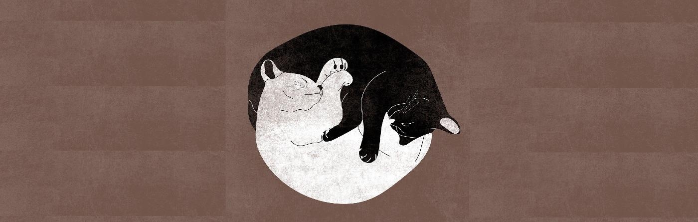 Veel kritiek op voorstel makkelijker aanpassen belastingaangiften mét uitbreiding navorderingsbevoegdheden